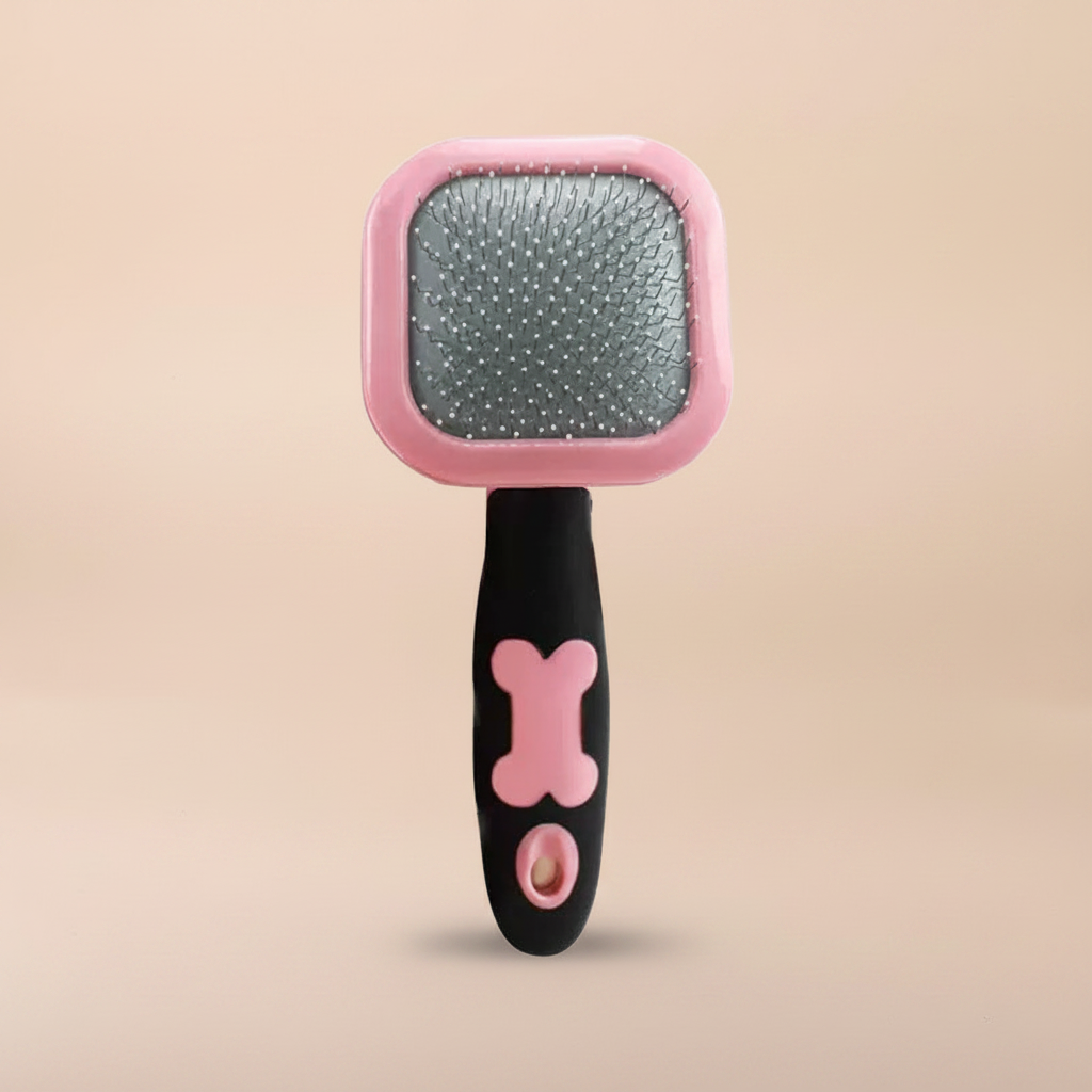 Brosse rose L fond beige