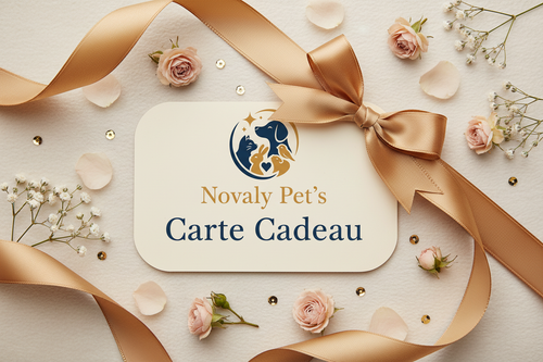 Carte cadeau V1
