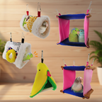 Collage accessoires oiseaux - fond lifestyle