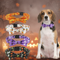 Col'ween - Fond Halloween
