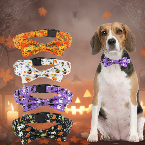 Col'ween - Fond Halloween