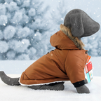 Doud'Wouf caramel - Fond hiver
