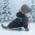 Doud'Wouf - Fond hiver