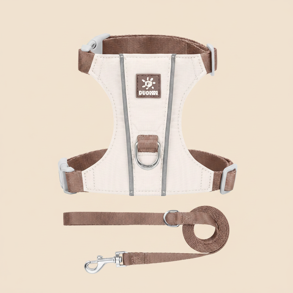Harnais beige - laisse dépliée fond beige