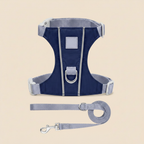 Harnais bleu marine/gris - laisse en dessous fond beige
