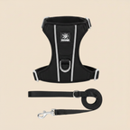Harnais noir - laisse en dessous fond beige