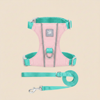 Harnais rose/menthe - laisse en dessous fond beige