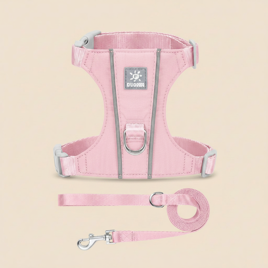 Harnais rose poudré v2 - laisse bien disposée