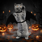 Miaou'Bat - Fond Halloween