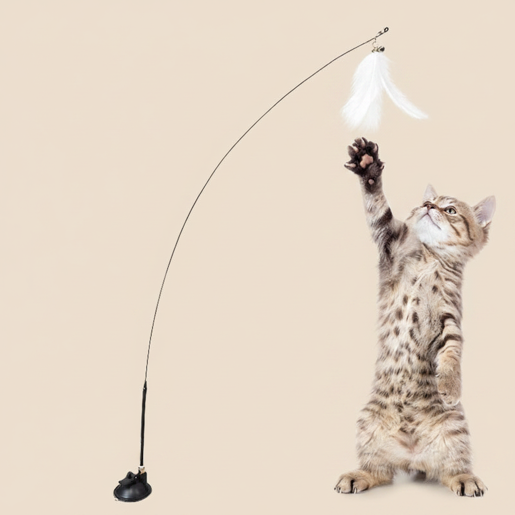 PlumiBell - fond beige sans texte
