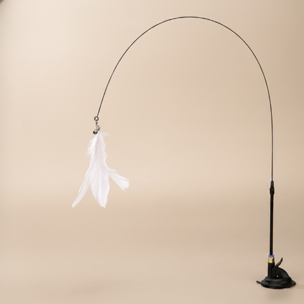 PlumiBell plume blanche - fond beige