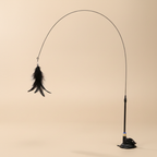 PlumiBell plume noire v2 - fond beige