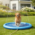 SplashPaw - Image d'accueil